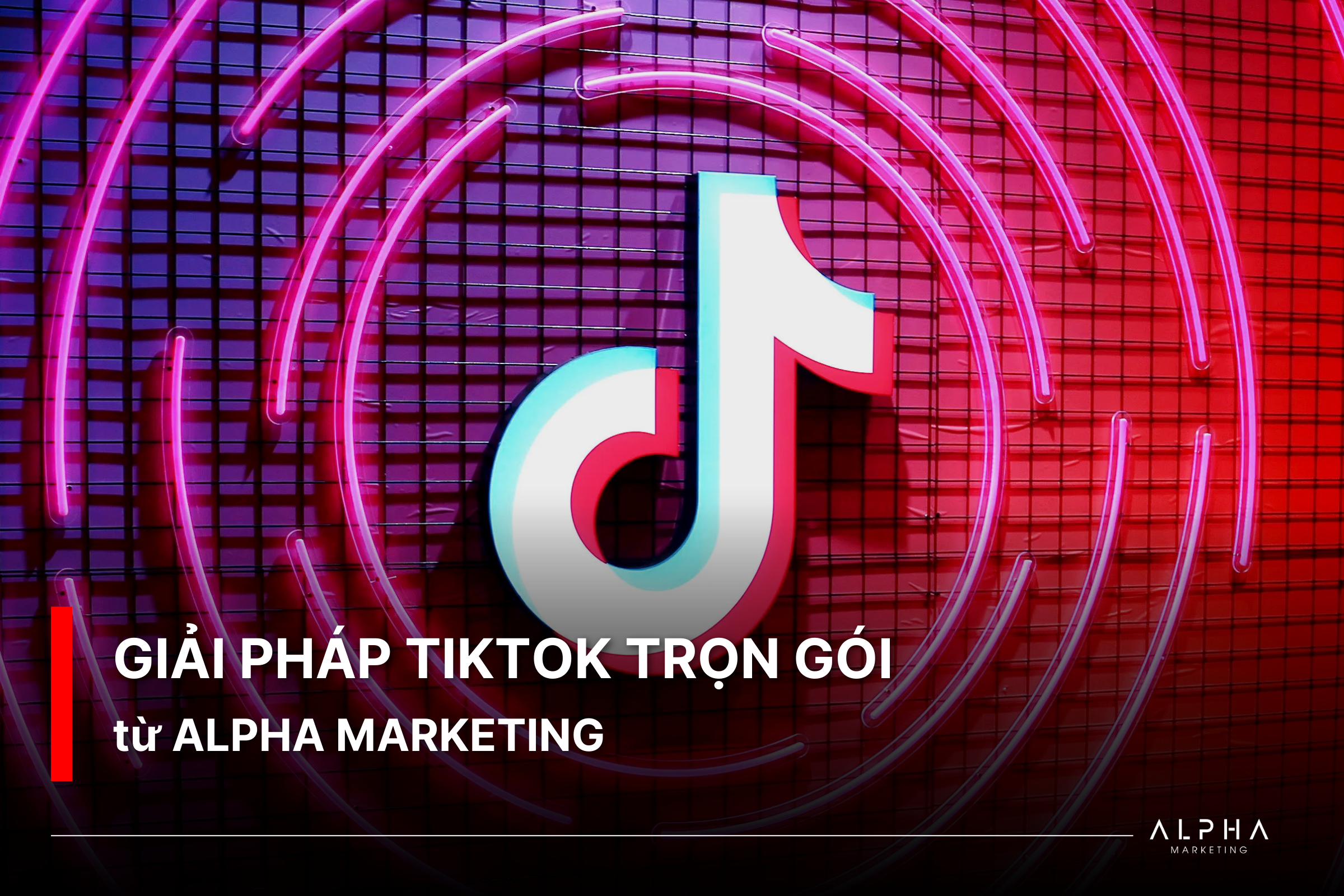 Giải pháp TikTok trọn gói